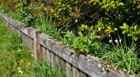 edge habitat productivity