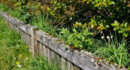 edge habitat productivity
