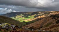 hidden wet and dry areas