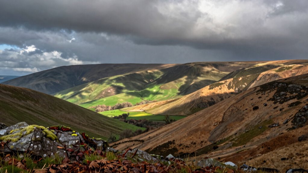 hidden wet and dry areas