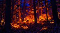 interpreting heat signature data