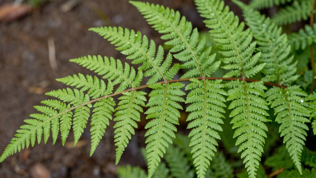 optimal plant photography techniques