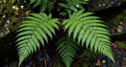 prioritize habitat over name