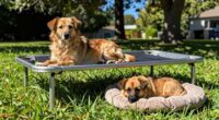 raised versus ground sleeping