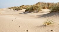 respect dune protection rules