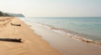 serene beaches hide opportunities