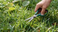 stress free harvest technique