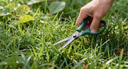 stress free harvest technique