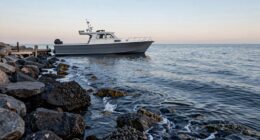 tide current launch timing