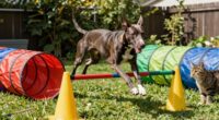 training for pet safety