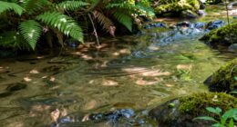 water alters landscape patterns