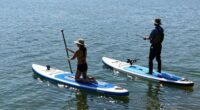 water sports paddleboards comparison