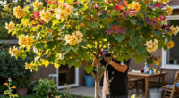 These 7 Gorgeous Small Shade Trees Create a Cooling Canopy, Vibrant Summer Color and Multi-Season Beauty