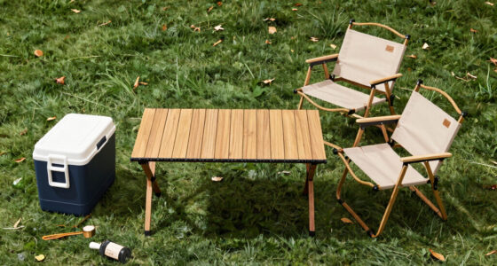 15 Best Outdoor Tailgating Furniture in 2026
