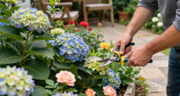 7 Plants to Prune in July Before it’s Too Late – Next Year’s Flowers Depend On the Right Timing