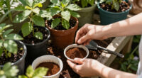 Do Coffee Grounds Keep Mosquitoes Away? The Science Explained