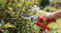 Felco 211-60 Review: Powerful Loppers For Tough Shrubs And Trimming Trees