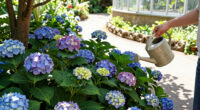 Hotter Summers Are Killing Traditional Hydrangeas – These 6 Gorgeous Alternatives Flourish In The Heat