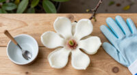 Magnolias Are So Old That They're Pollinated By Beetles, Not Bees