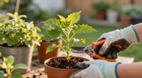 Take Cuttings From These 6 Plants In July And Get Dozens More For Free – Fill Out Your Garden Without Spending A Penny!