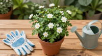 The Heat-Loving Climber That Fills Your Garden With Jasmine Scent All Summer (And Hummingbirds Love It)