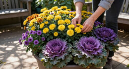 5 Fast-Growing Fall Flowers For Containers That Dazzle From The End Of Summer Until The First Frost