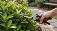 August Is Your Last Chance To Prune These 6 Plants Before It's Too Late For Next Year
