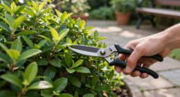 August Is Your Last Chance To Prune These 6 Plants Before It's Too Late For Next Year