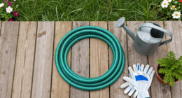 Best Garden Hose Reels Compared