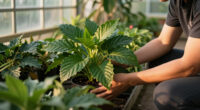 Crime Pays But Botany Doesn't