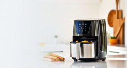 Ninja Foodi 10 Quart Air Fryer: Summer Family Feasts Made Easy