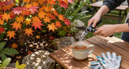 The 2026 Fall Foliage Forecast Is Out – When Will Your Garden Trees Reach Peak Color?