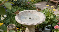 The Puddle Bird Bath Your Backyard Needs To Attract The Birds You Are Missing This Summer