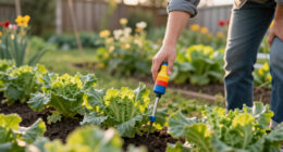 This Weird Tool Is A Garden Game Changer – It Prevents Pests And Diseases In Your Yard (And Will Save Your Back!)