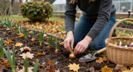 9 Bulbs To Plant In October For Striking Fuss-Free Flowers Come Spring – Even Beginner Gardeners Will Get Great Results