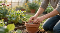 Does Gravel In The Base Of Pots Really Help Drainage? Get To The Bottom Of A Divisive Growing Topic