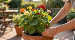 Every Garden Needs One Plant That Makes Containers Look Full Instantly – These 7 Are Multi-Season Showstoppers