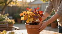 Fill Patio Pots With Vibrant Plants That Last From Fall Into Winter For A Wonderfully Colorful Cool-Season Display