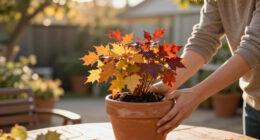 Fill Patio Pots With Vibrant Plants That Last From Fall Into Winter For A Wonderfully Colorful Cool-Season Display