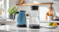 Keep Your Ninja KT200BL Kettle Sparkling All Summer Long