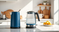 Ninja KT200BL Precision Temp Electric Kettle: Perfect for Summer Tea & Coffee
