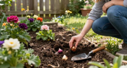Plant These 6 Bulbs In September For Enchanting Flowers That Appear Like Magic Through Fall