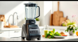 Summer Care Tips for Your Ninja Professional Blender