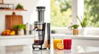 Summer Freshening: Must-Have Accessories for Your Ninja NeverClog Juicer