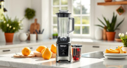 Summer Sips: Must-Have Accessories for Your Ninja Blast Max Portable Blender
