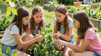 Three Schoolgirls In Kinsale Pulled Up A Pea Plant Covered In Warts (2016)