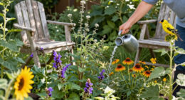 Want To See Your State Bird In Your Yard? Plant These Native Favorites