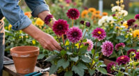11 Best Fall-Blooming Garden Flowers for Late-Season Color in 2027
