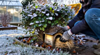 12 Best Winter Wildlife Shelters for 2027