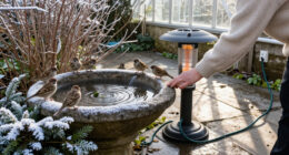 15 Best Bird Bath Heaters for Winter Bird Care in 2027